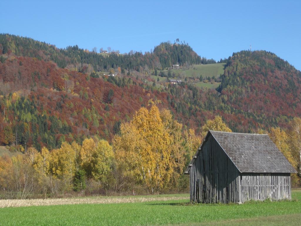 Haus Moser Wörschach Exterior foto